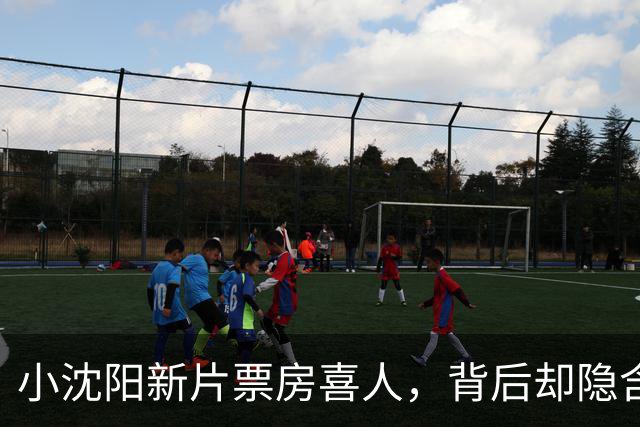 小沈阳新片票房喜人，背后却隐含巨大的经济压力